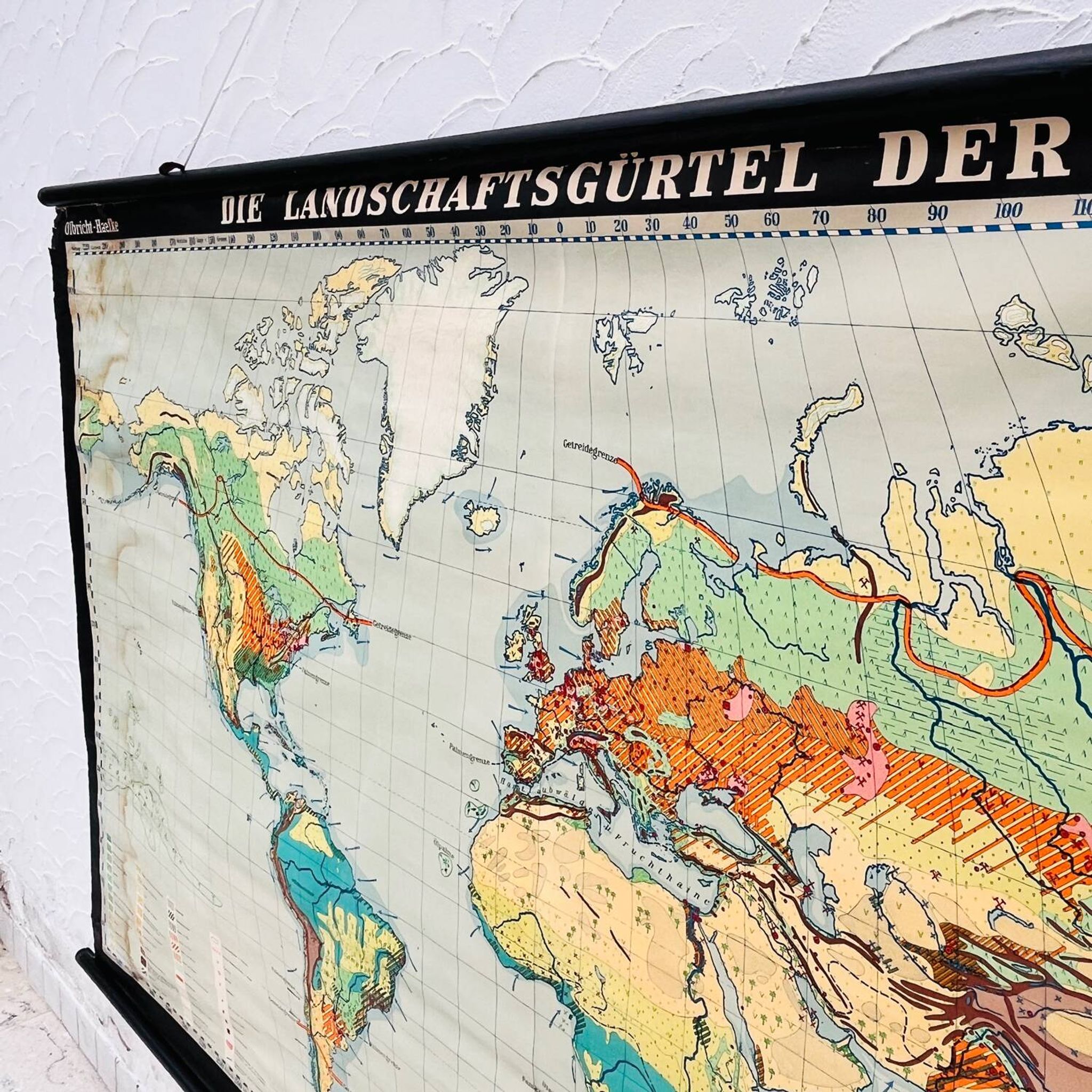 Educational map “the types of landscapes of the earth”