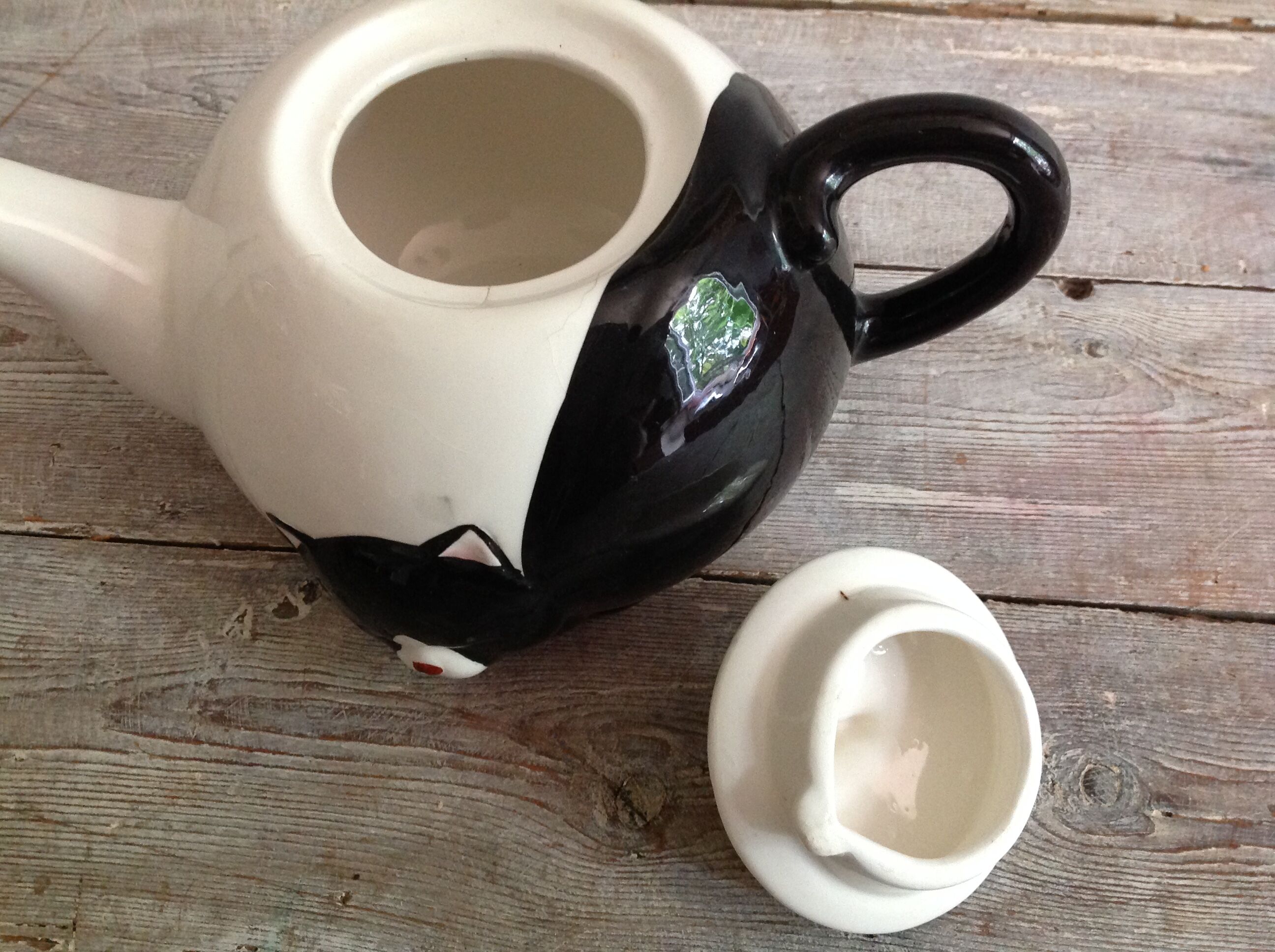 Teapot "cat"