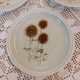 5 old Sarreguemines dessert plates