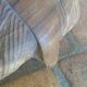 Table basse dauphin