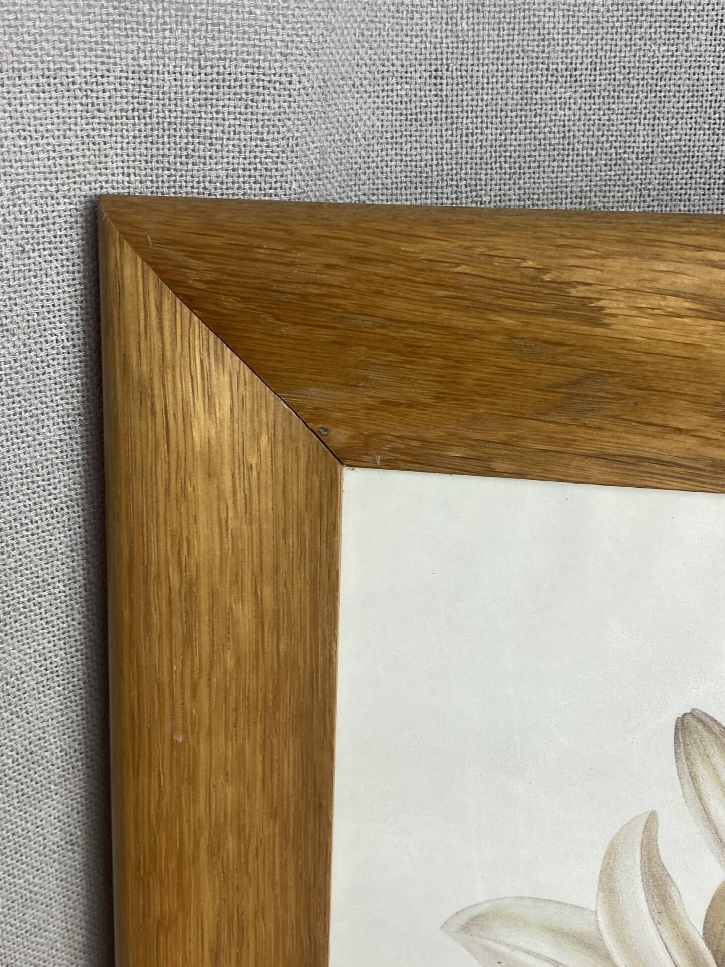 Botanical print, White Lily, P-J Redouté