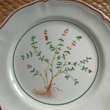 Set of 2 Longchamp plates with herbarium decor