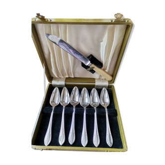 Service à pamplemousse