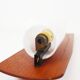 Rare set of wall lamps in teak and opaline glass by Kaiser Leuchten