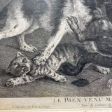 Antique print - Cats on the attack