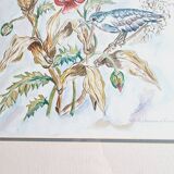 Aquarelle signée D.Desser oiseaux et fleurs