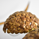 1960s hydrangea Palladio wall Sculpture Lamp Made in Italy