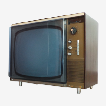 Téléviseur vintage Téléavia t462 tv