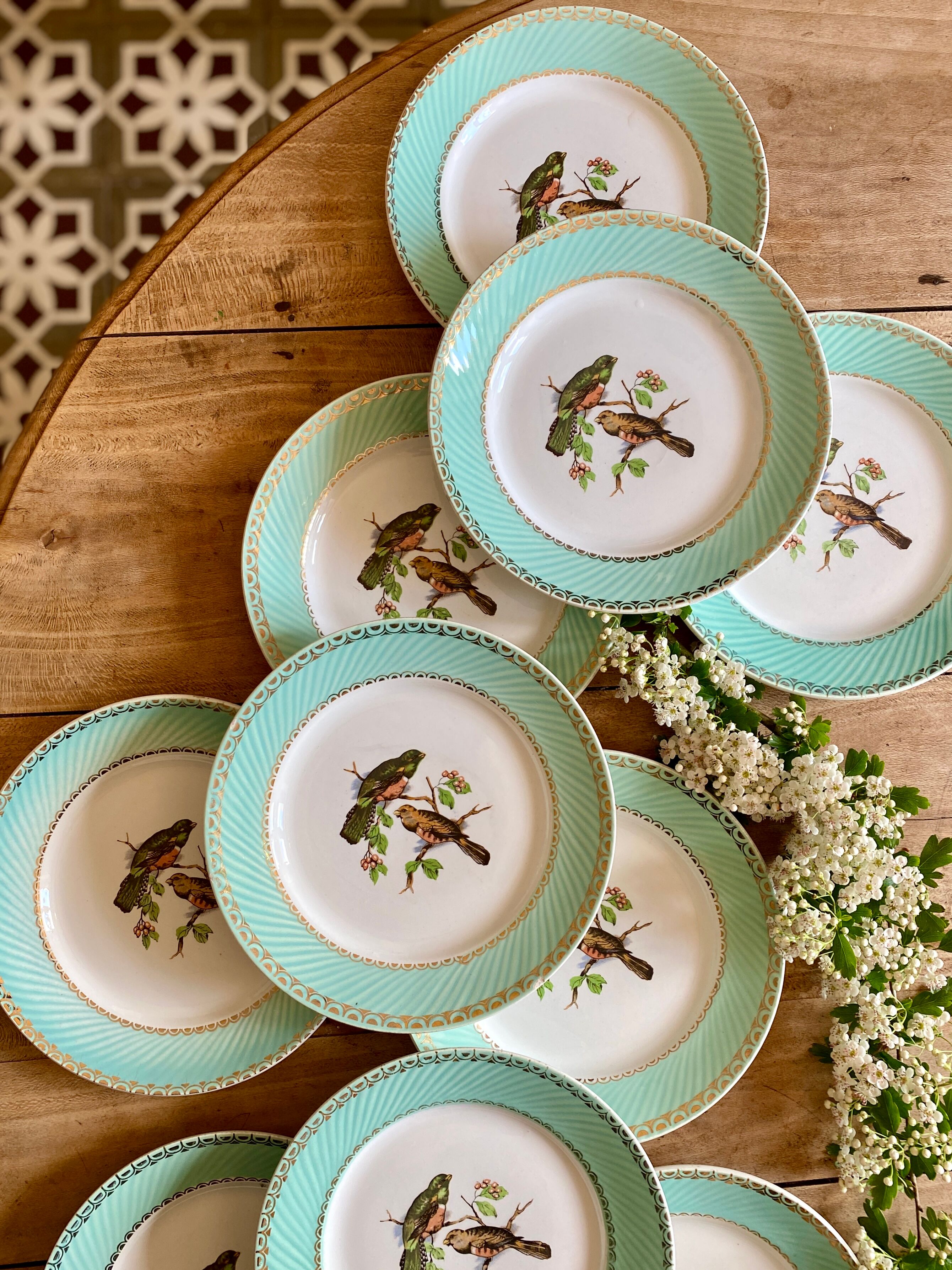 Set of 10 vintage flat plates with bird drawings