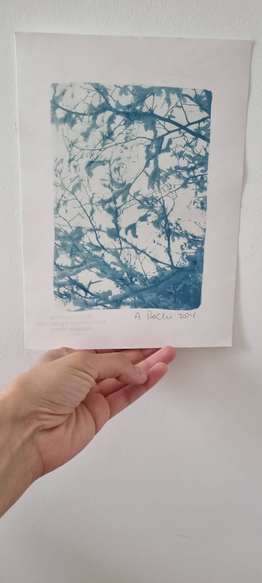 Handmade cyanotype botanical photography collection