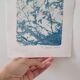 Handmade cyanotype botanical photography collection