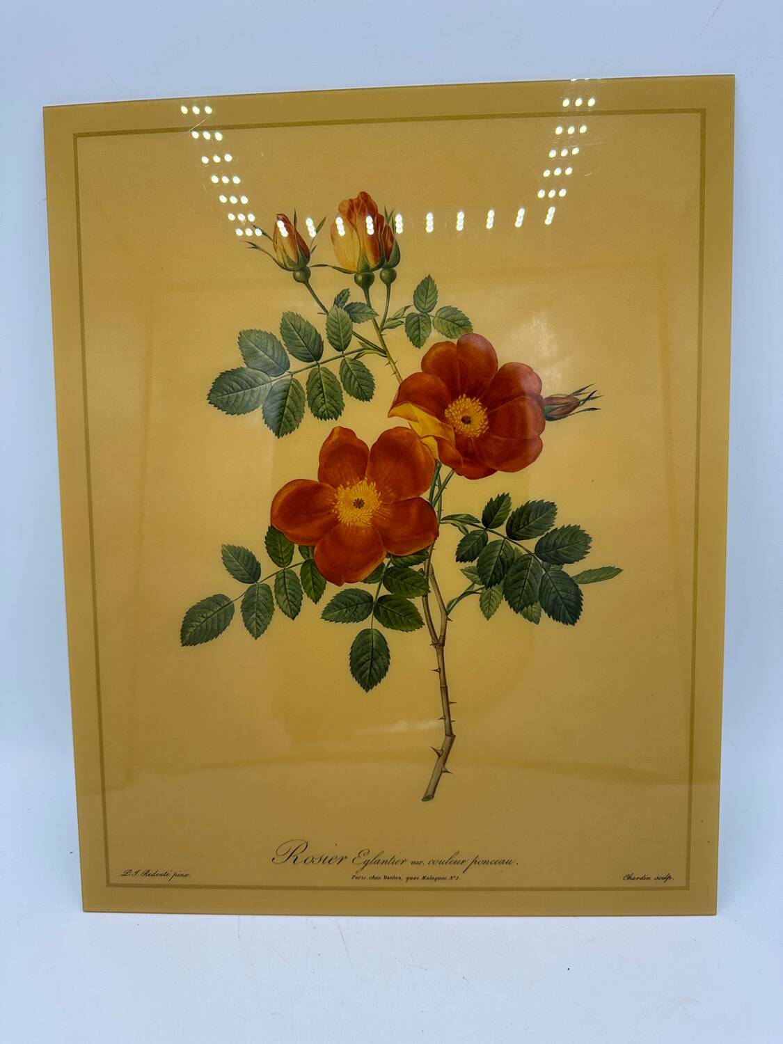 Vintage lithograph