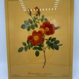 Vintage lithograph