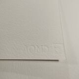 1980 Andy Warhol "Flowers" Limited Edition Lithograph by CMOA.