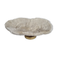 Old white coral on brass base "Pacific Shell", 28 cm