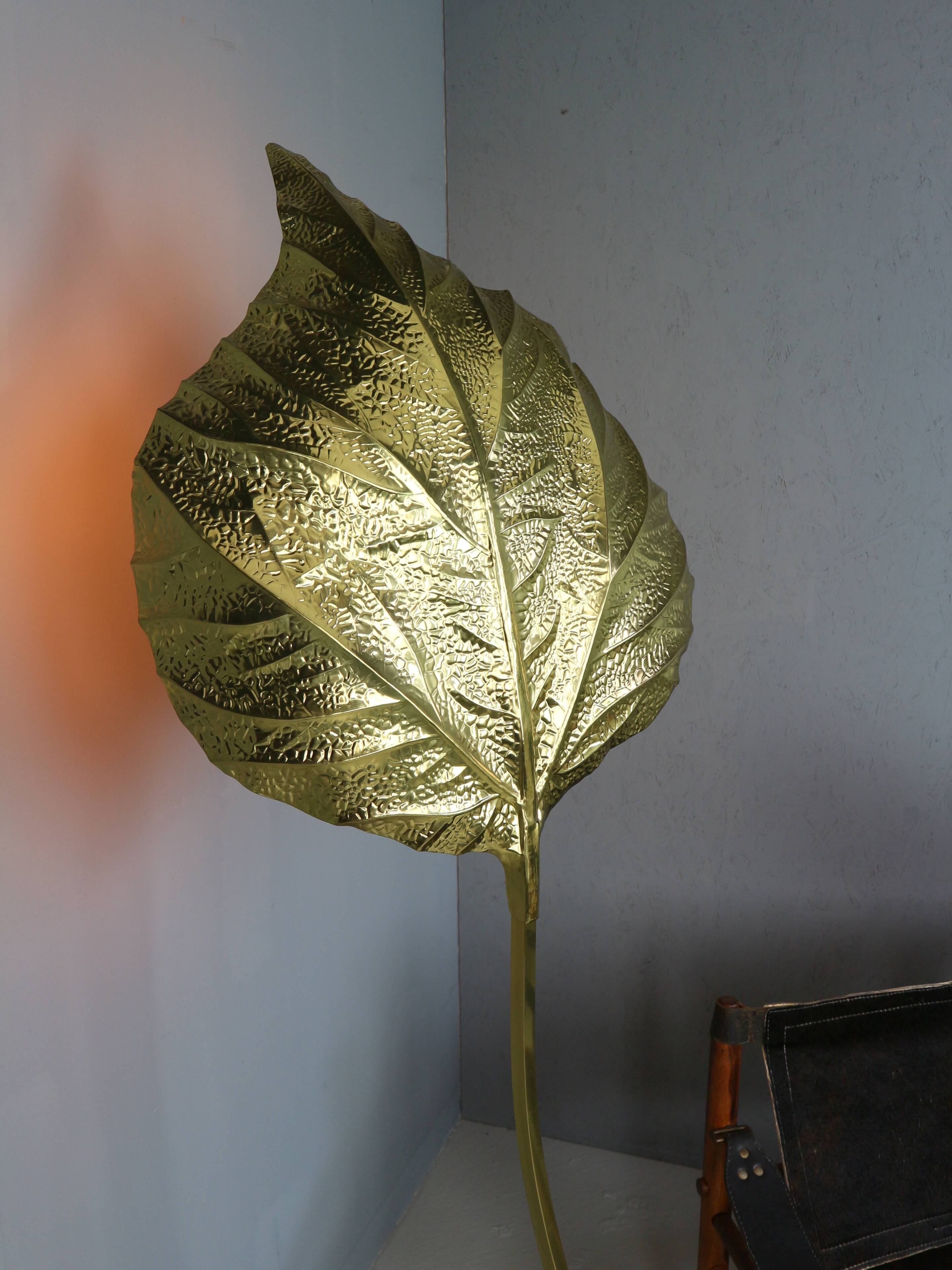 Tommaso Barbi "Rhubarb" floor lamp by Bottega Gadda Italy, 1970