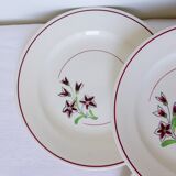 4 assiettes plates vintage de la manufacture des Salins 210638
