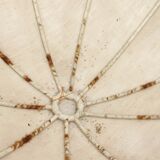 Ceiling lamp made of satin fabric and crystals, Spain, 1940