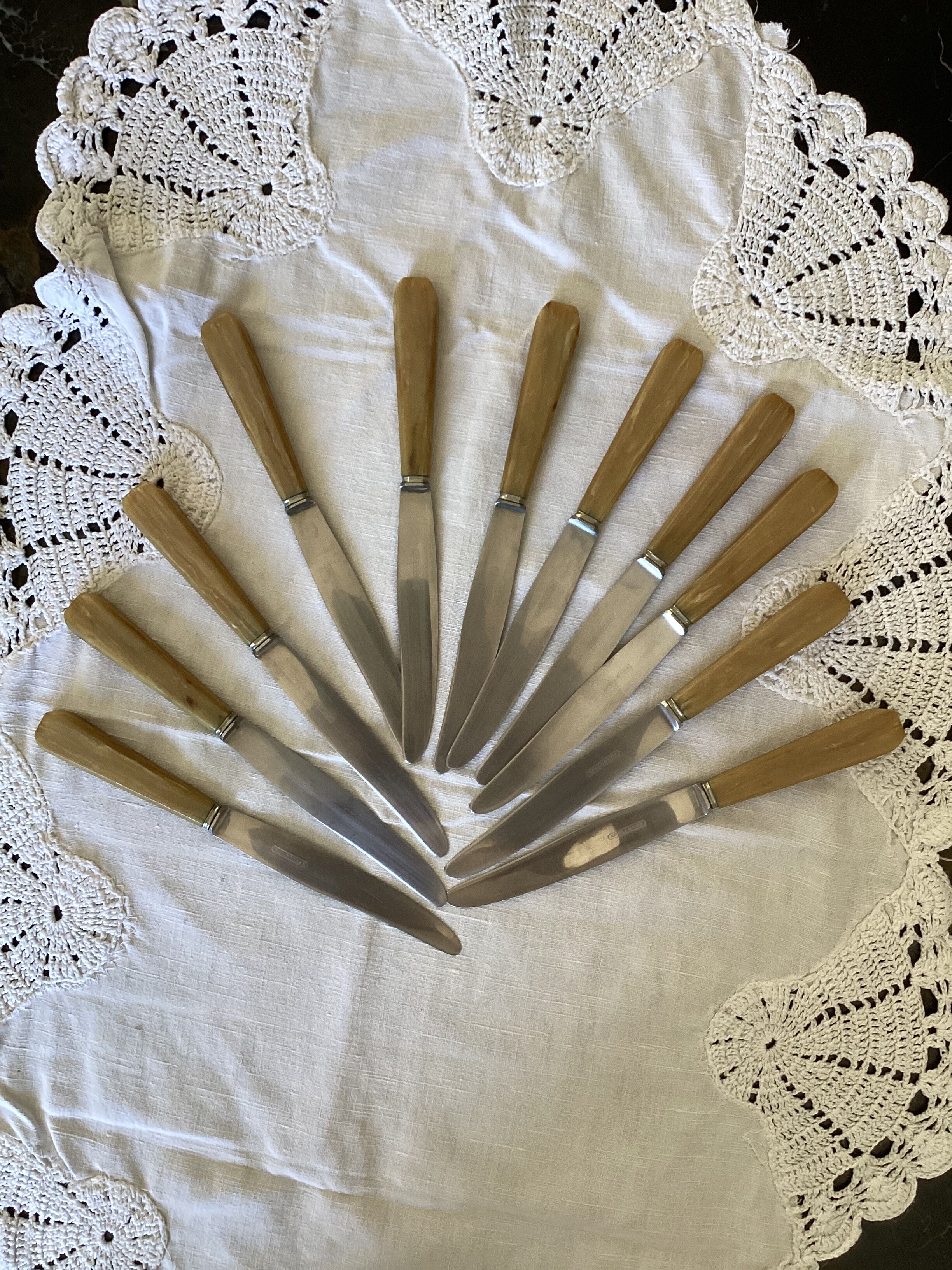 Set of 11 Apollonox table knives in a box