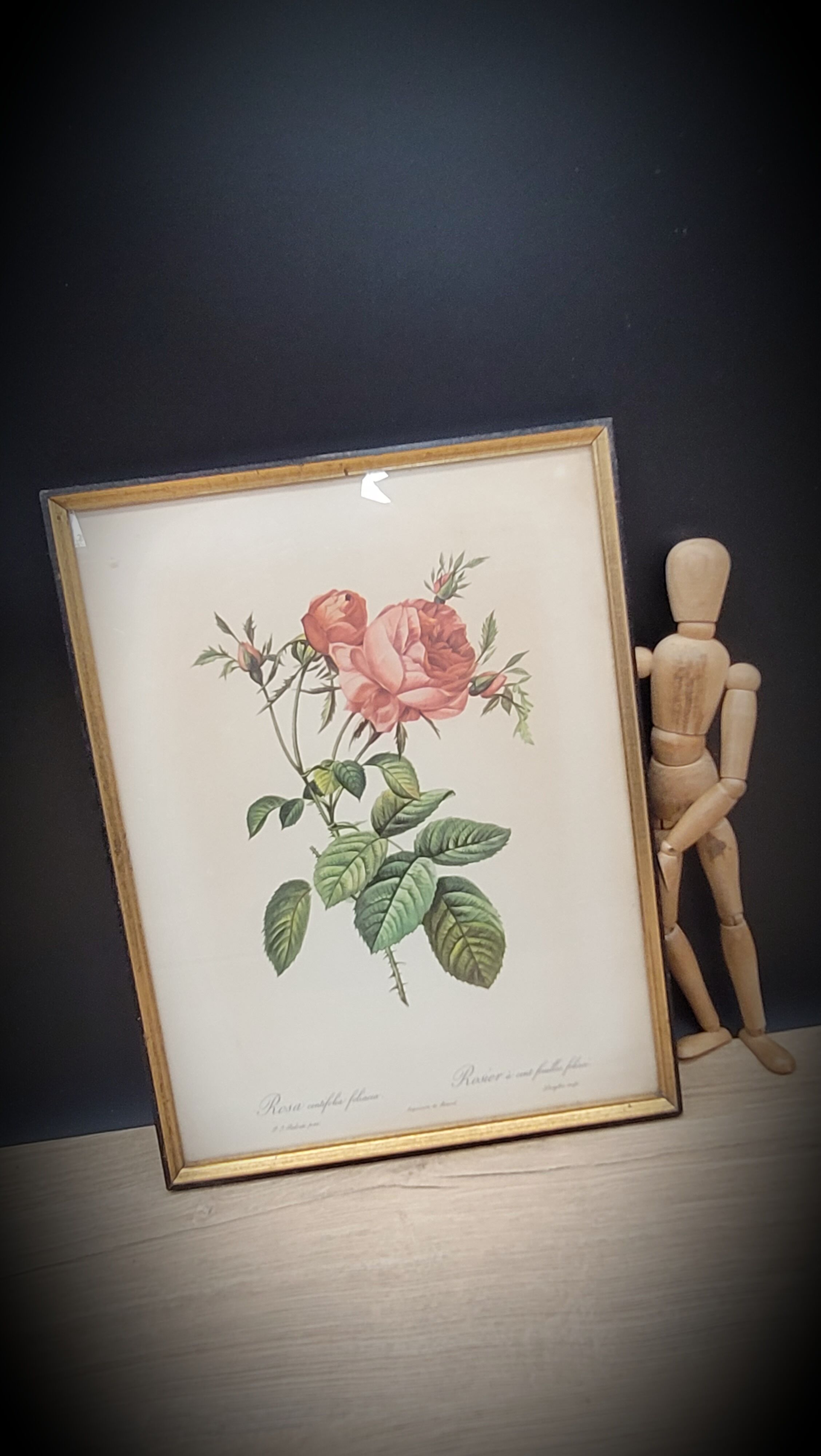 Litho Rose one hundred leafy leaves