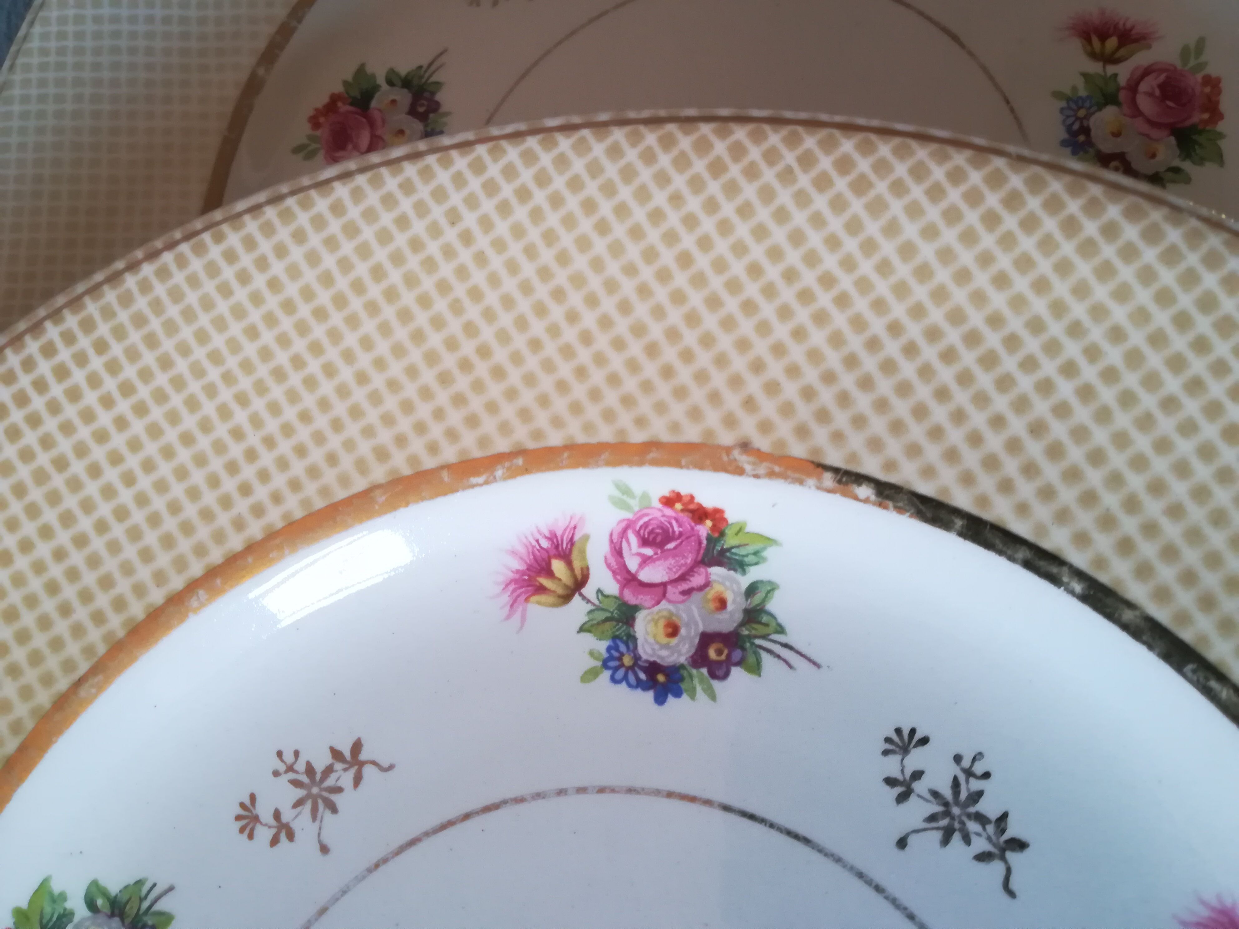 6 earthenware plates by Salins