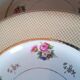 6 earthenware plates by Salins