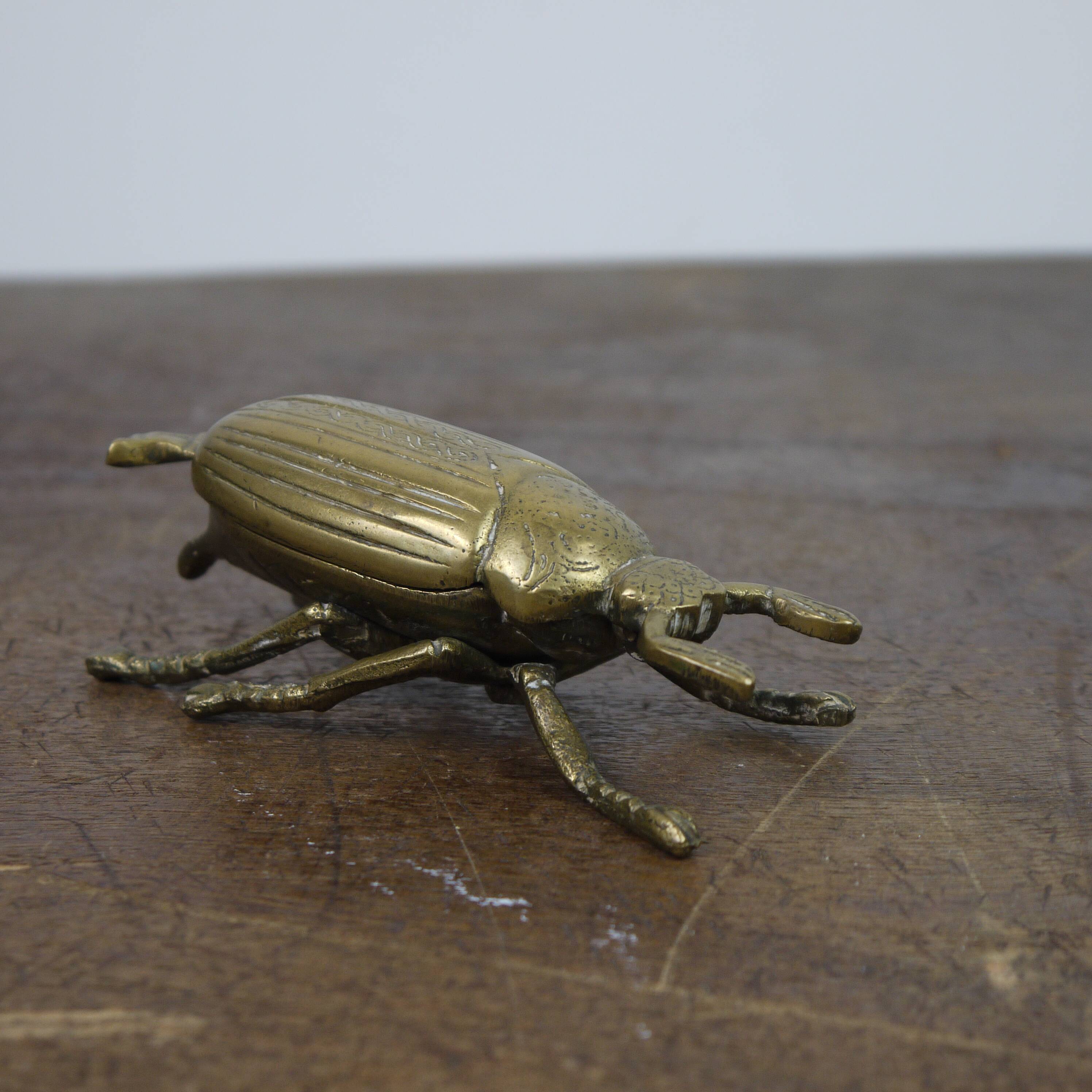 Brass beetle