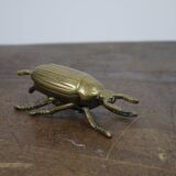 Brass beetle