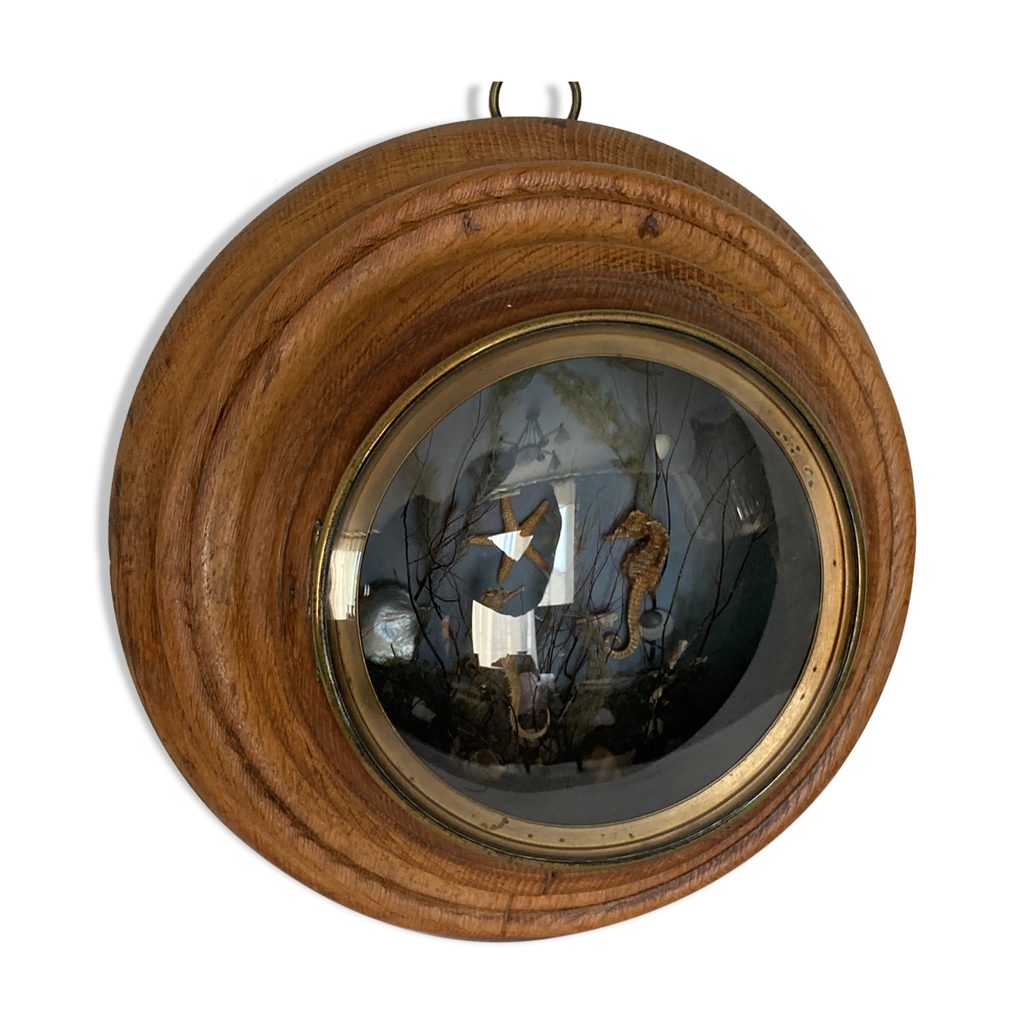 Object of curiosity diorama seabed porthole XXth