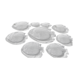Service Arcoroc transparent plates and fish dish