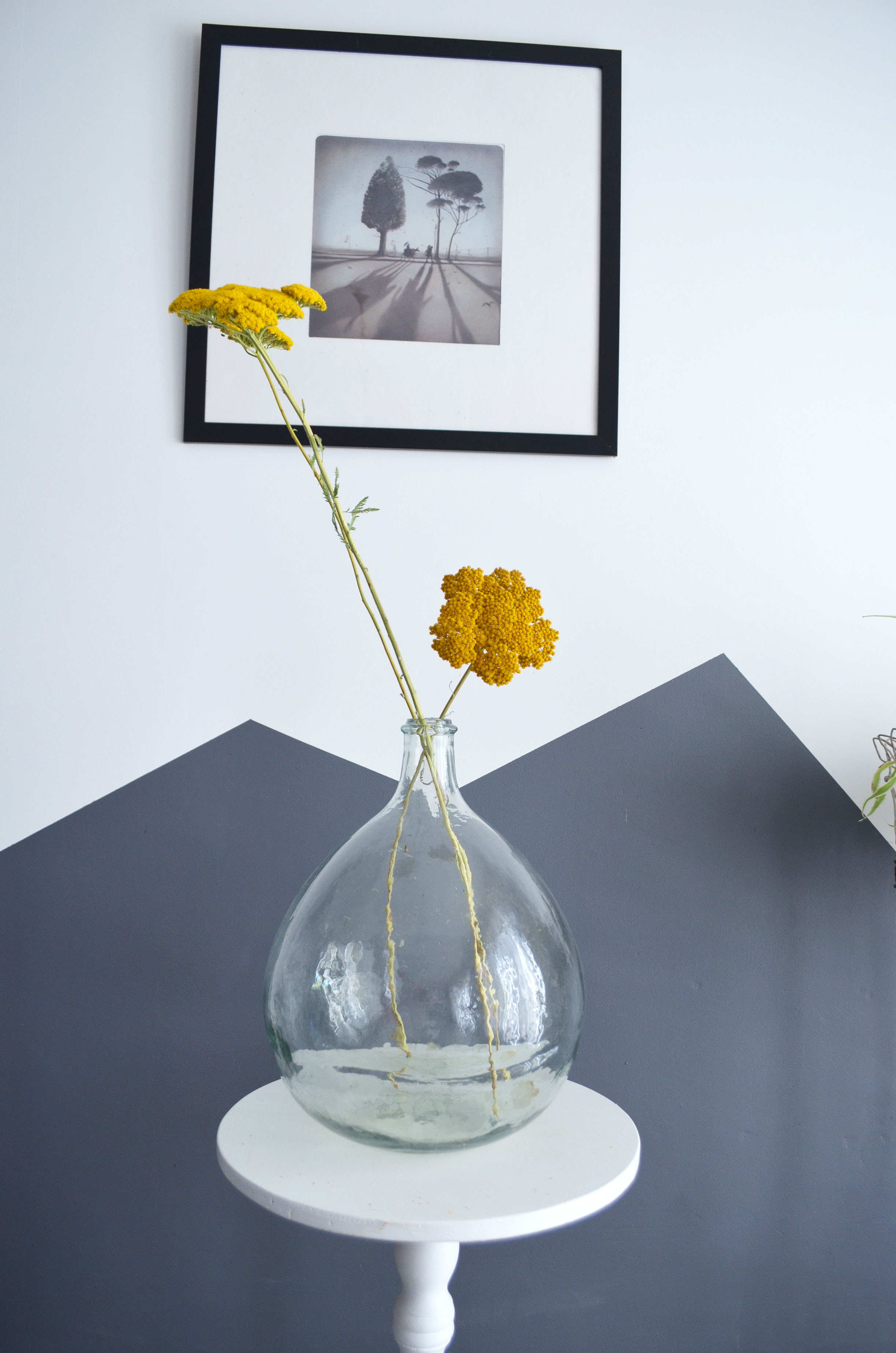 Lady jeanne 10 liters transparent