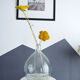 Dame jeanne 10 litres transparente