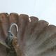Hanging lamp with flowers in gilded metal, 60/70 years
