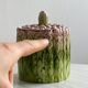 Asparagus slushy condiment pot.