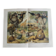 Gravure ancienne - Faune et animaux d'Afrique - Chromo-Lithographie originale de 1909