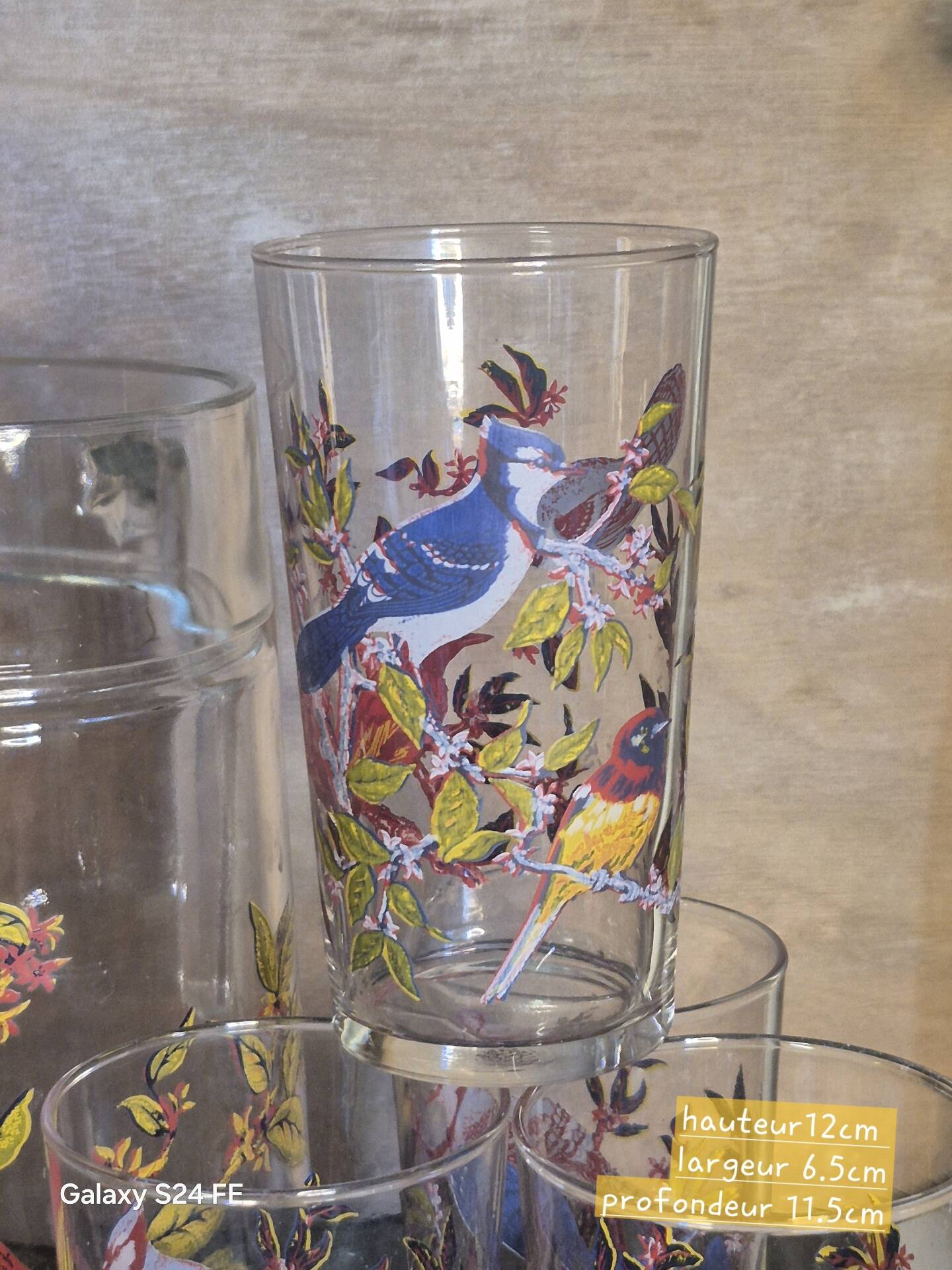 Verres oiseaux