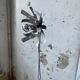 Floor lamp chrome 'flower' design Jacques Veyrat-Masson and Philippe Rogier, edited by Oxar