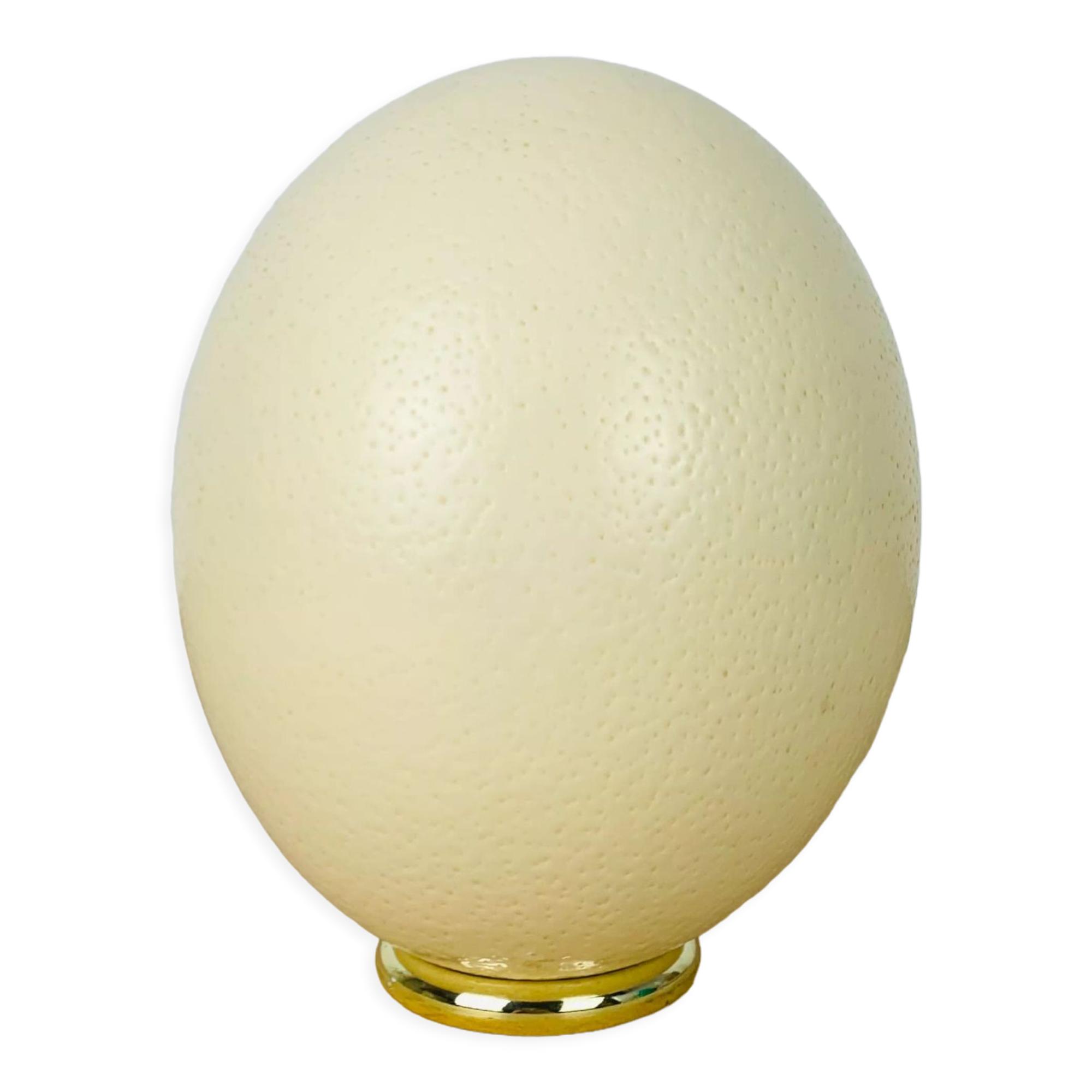 Golden ostrich egg object of curiosity