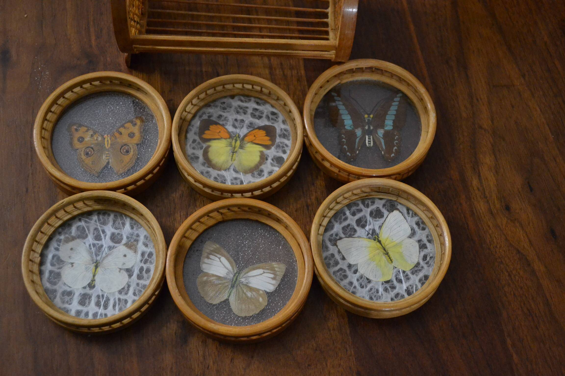Set of butterfly coasters