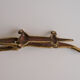 Brass Crocodile