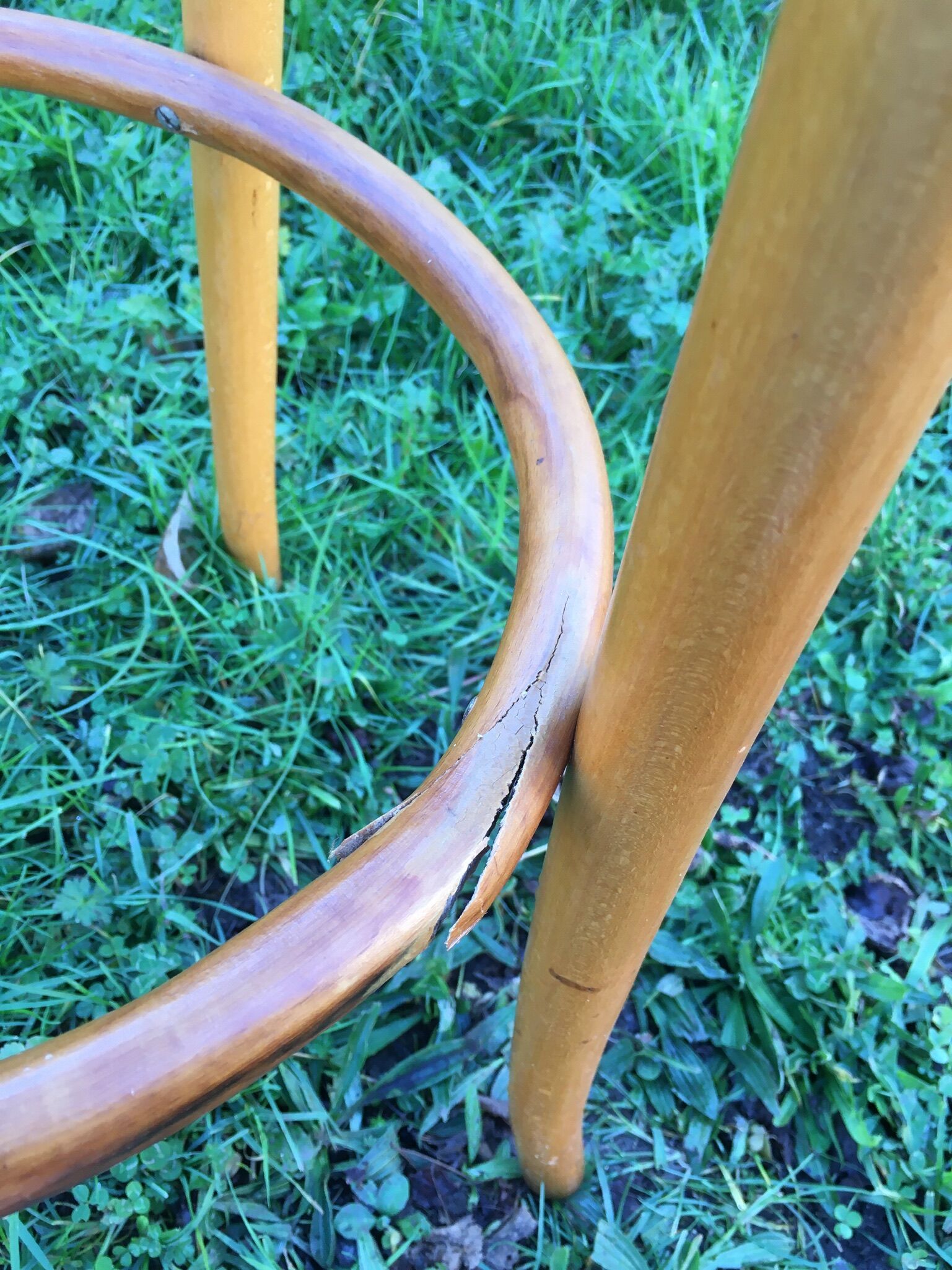 Cane bar and curved wood