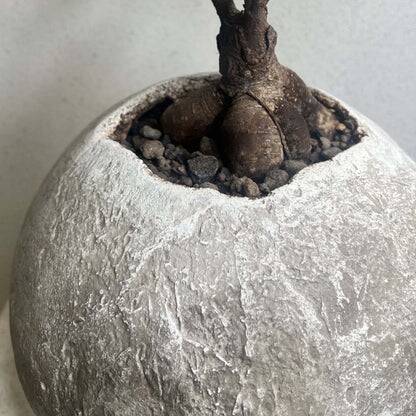 Kikai - artisanal pot in mineral cement