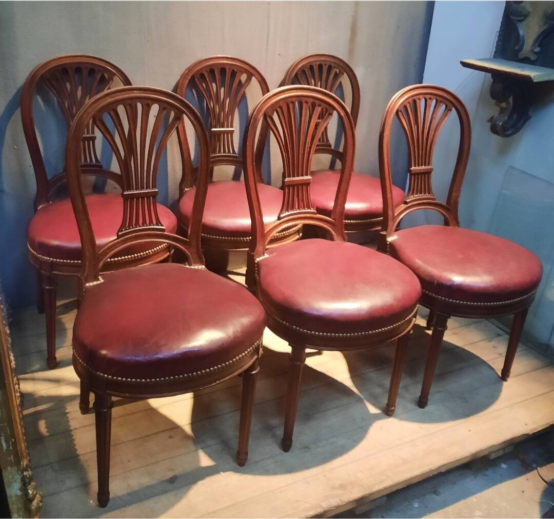 Serie de 6 chaises néo classique  du dix-neuvieme sciecle