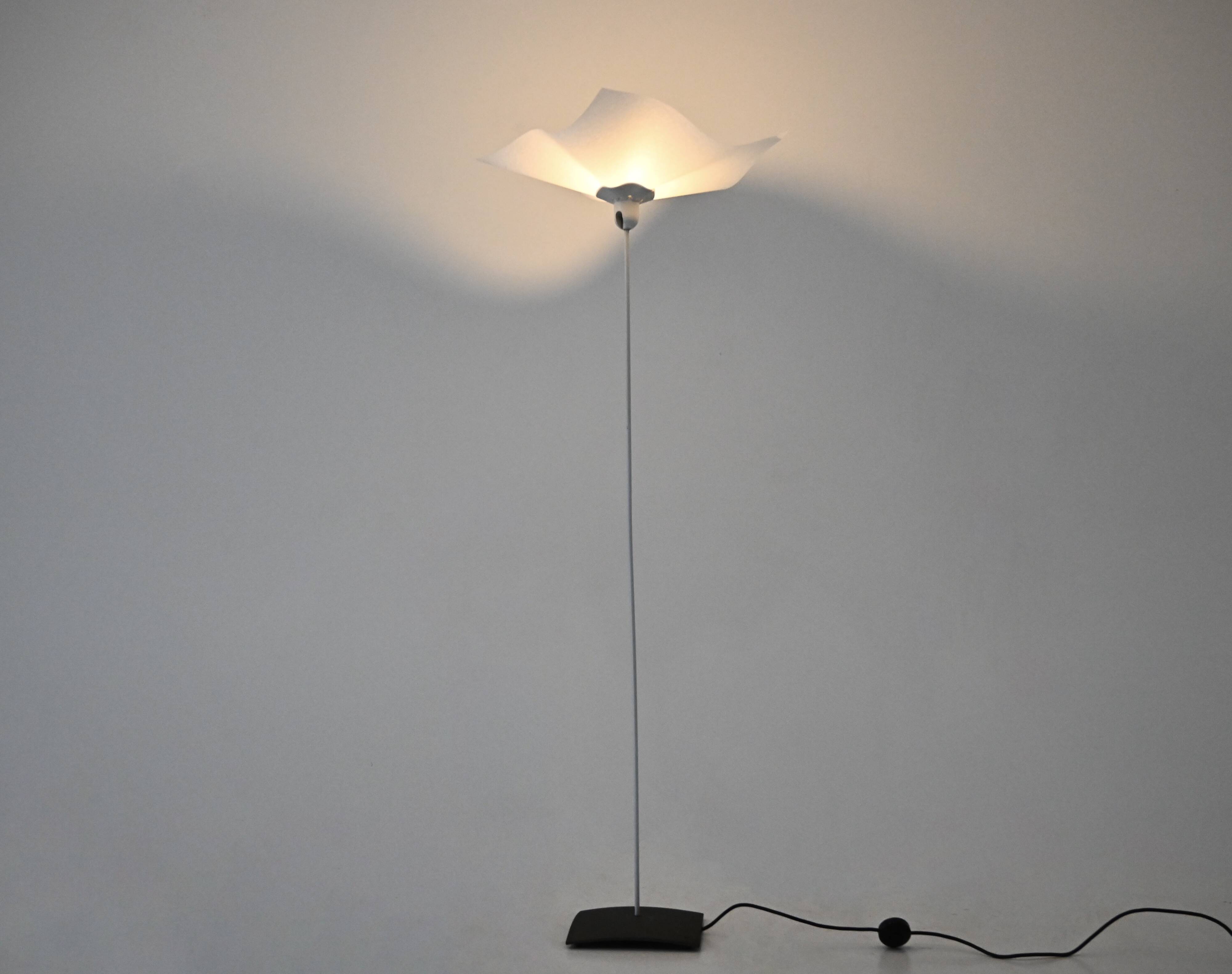 Area 160 floor lamp by Mario Bellini for Artemide, 1960s