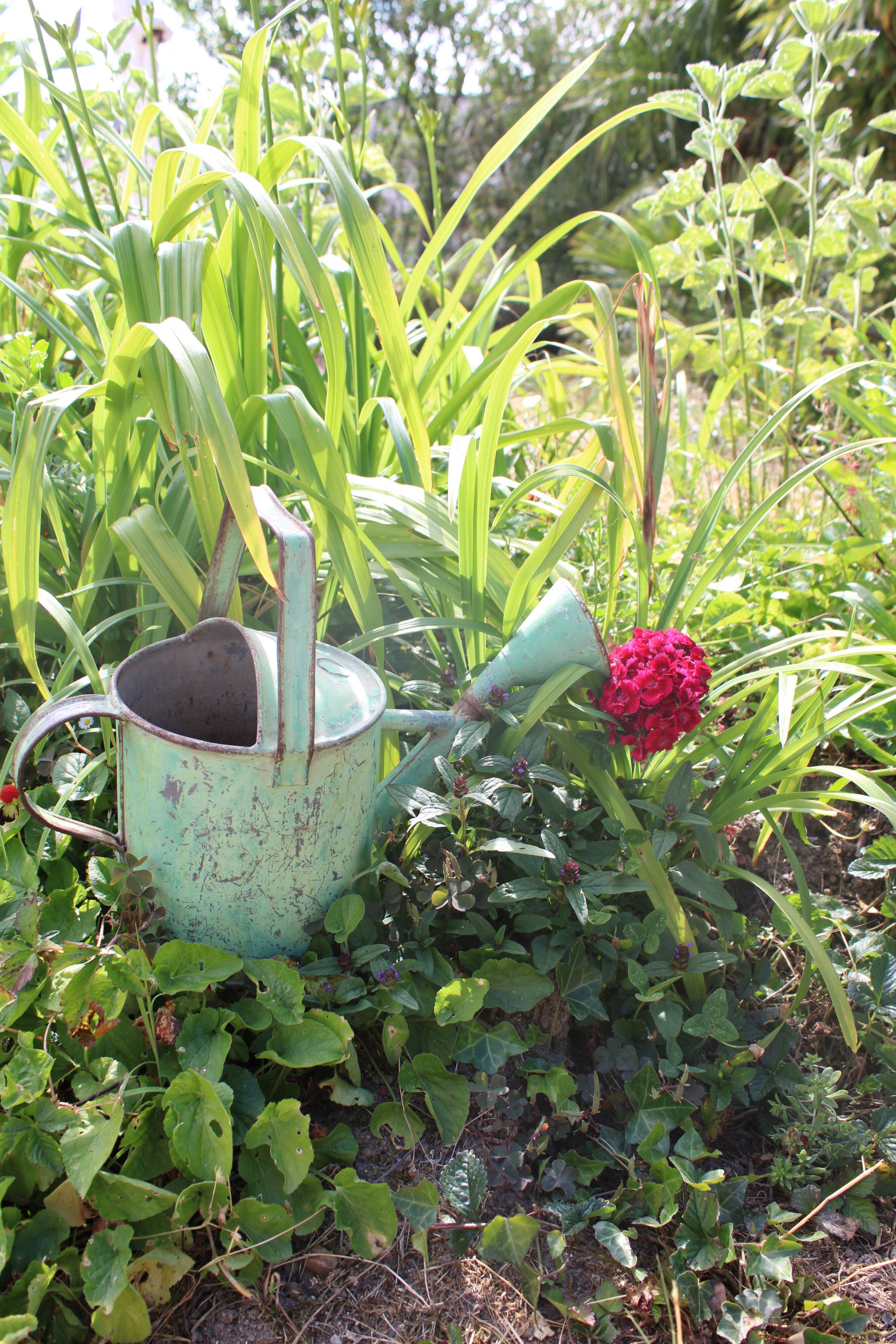 Zinc green watering can