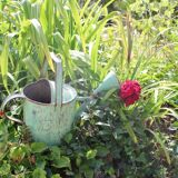 Zinc green watering can