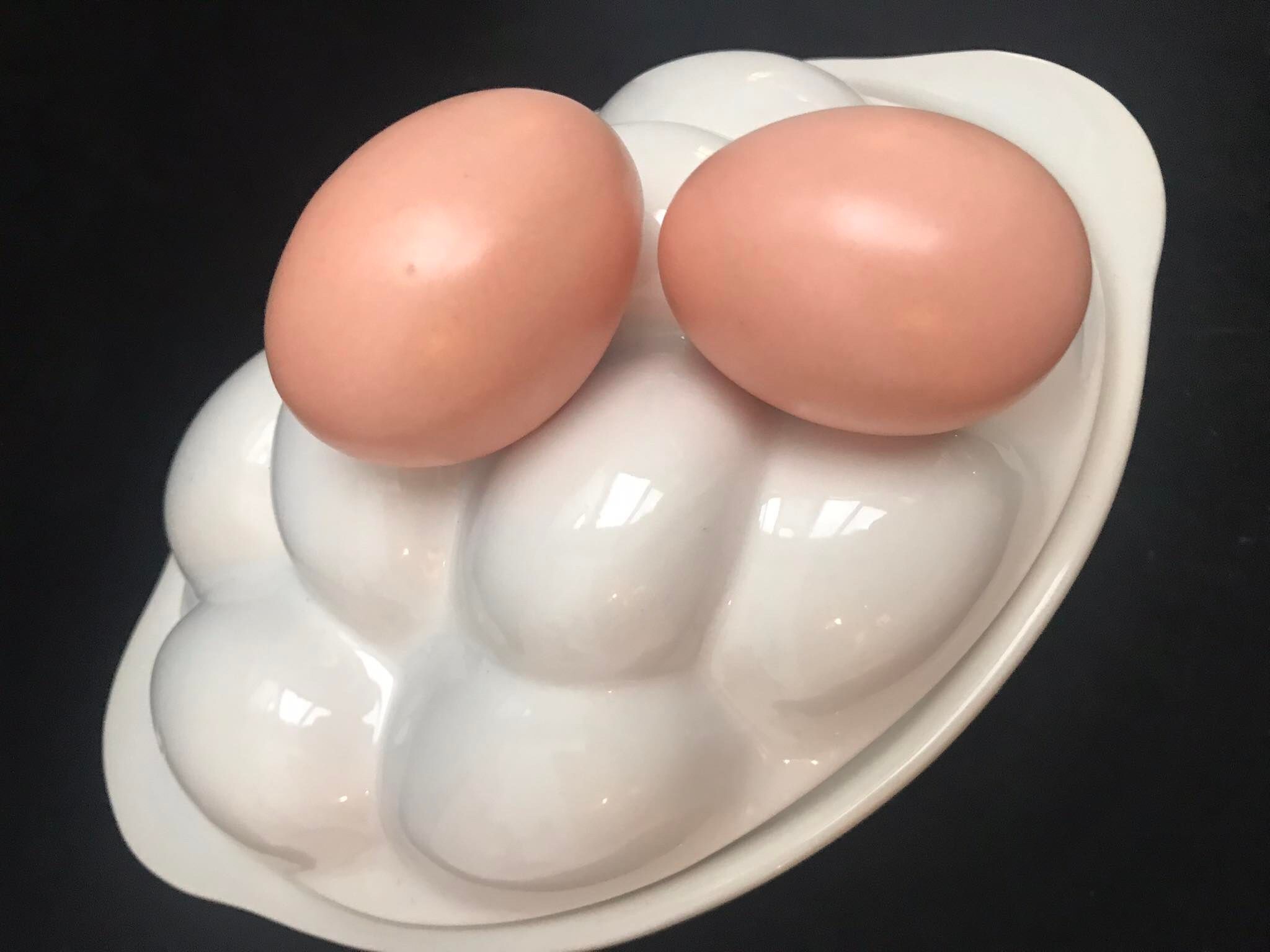 Egg terrine