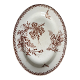 Old dish