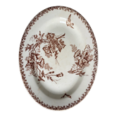 Old dish