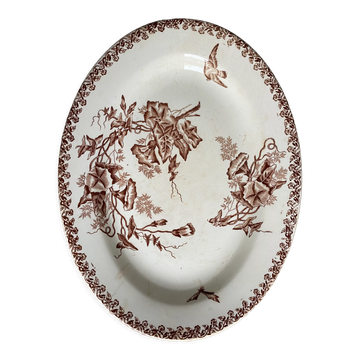 Old dish